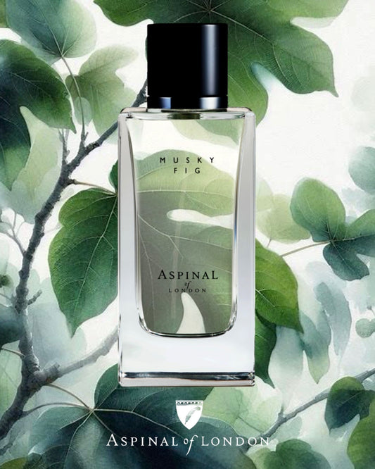 Musky Fig - L’essenza di un mattino d’estate